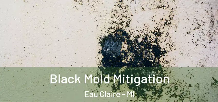 Black Mold Mitigation Eau Claire - MI