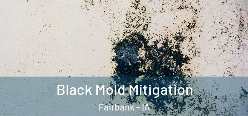  Black Mold Mitigation Fairbank - IA