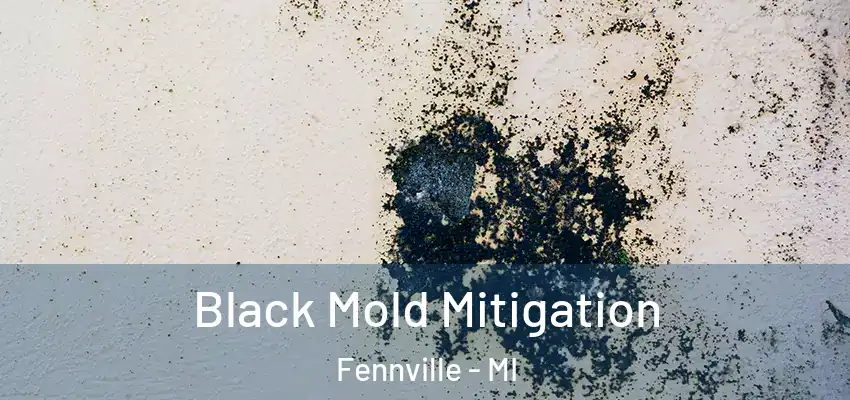 Black Mold Mitigation Fennville - MI
