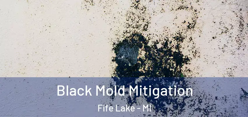 Black Mold Mitigation Fife Lake - MI