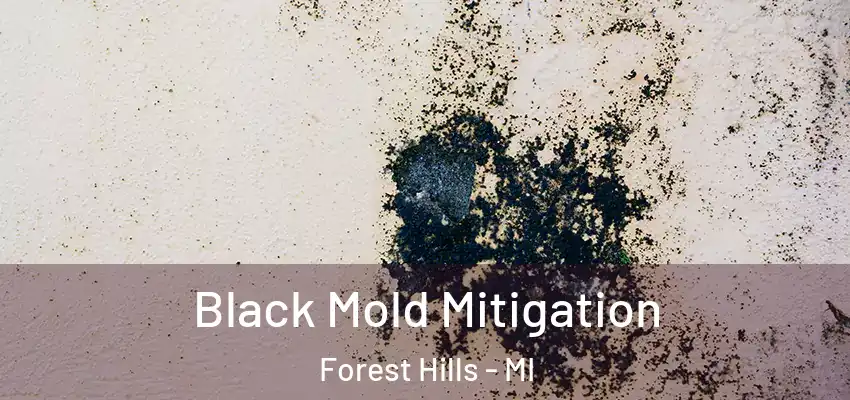  Black Mold Mitigation Forest Hills - MI