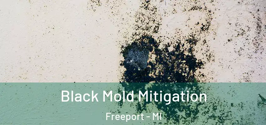  Black Mold Mitigation Freeport - MI