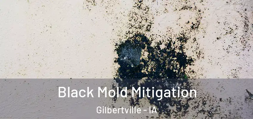  Black Mold Mitigation Gilbertville - IA