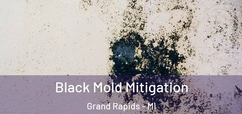 Black Mold Mitigation Grand Rapids - MI