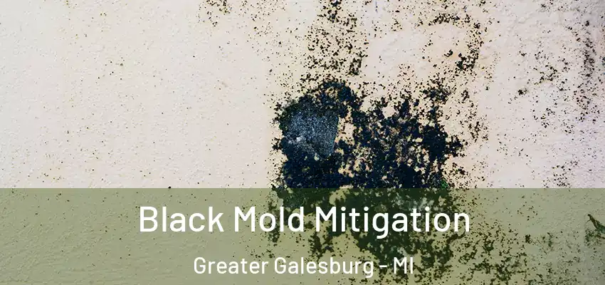  Black Mold Mitigation Greater Galesburg - MI