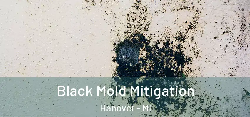  Black Mold Mitigation Hanover - MI