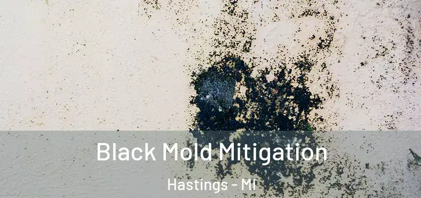  Black Mold Mitigation Hastings - MI