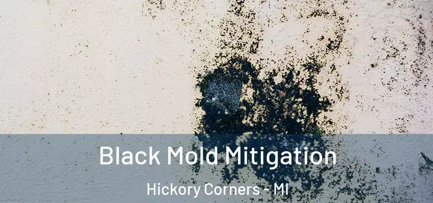 Black Mold Mitigation Hickory Corners - MI