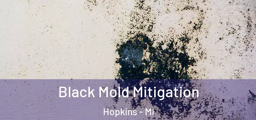  Black Mold Mitigation Hopkins - MI