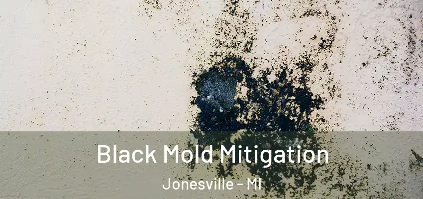  Black Mold Mitigation Jonesville - MI