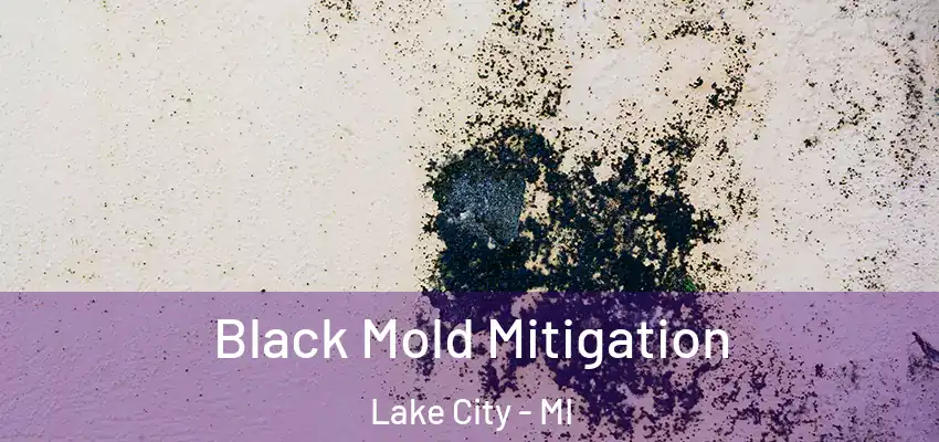  Black Mold Mitigation Lake City - MI