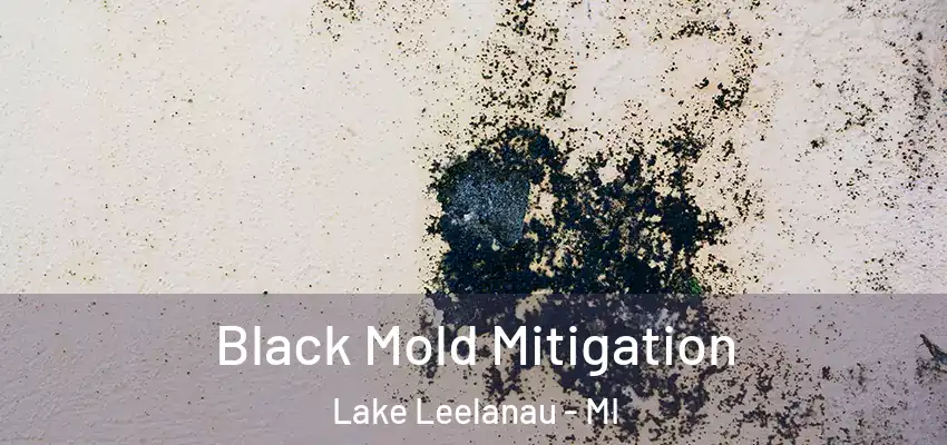 Black Mold Mitigation Lake Leelanau - MI