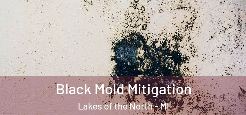  Black Mold Mitigation Lakes of the North - MI