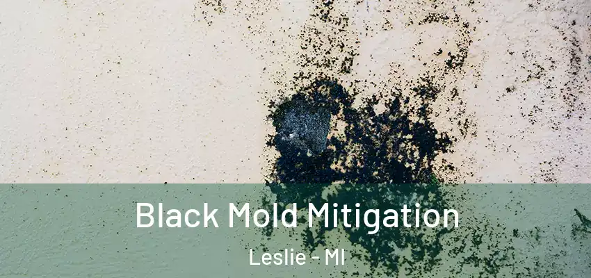 Black Mold Mitigation Leslie - MI
