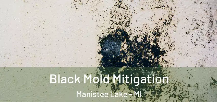  Black Mold Mitigation Manistee Lake - MI