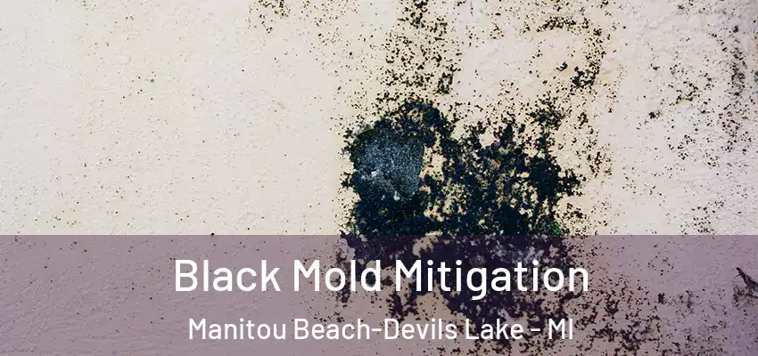 Black Mold Mitigation Manitou Beach-Devils Lake - MI