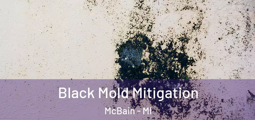  Black Mold Mitigation McBain - MI