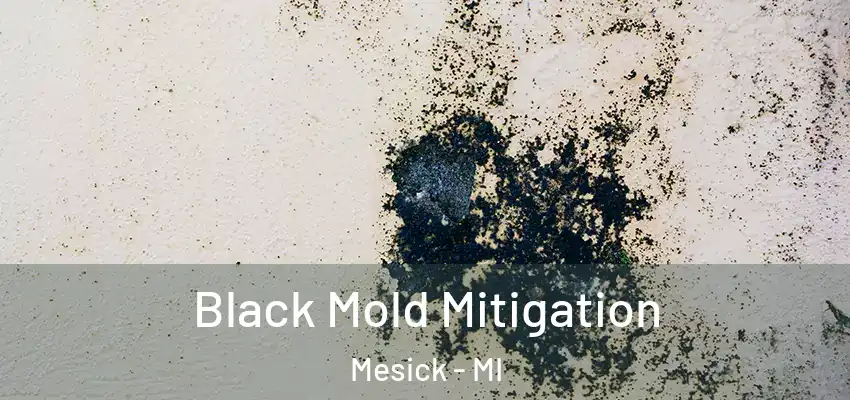  Black Mold Mitigation Mesick - MI