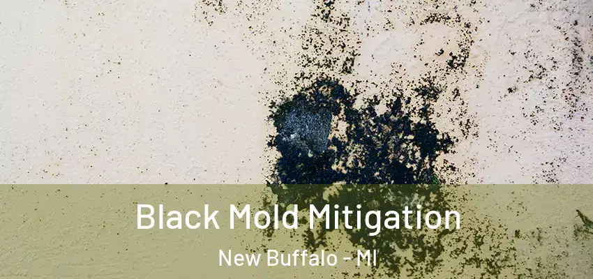 Black Mold Mitigation New Buffalo - MI