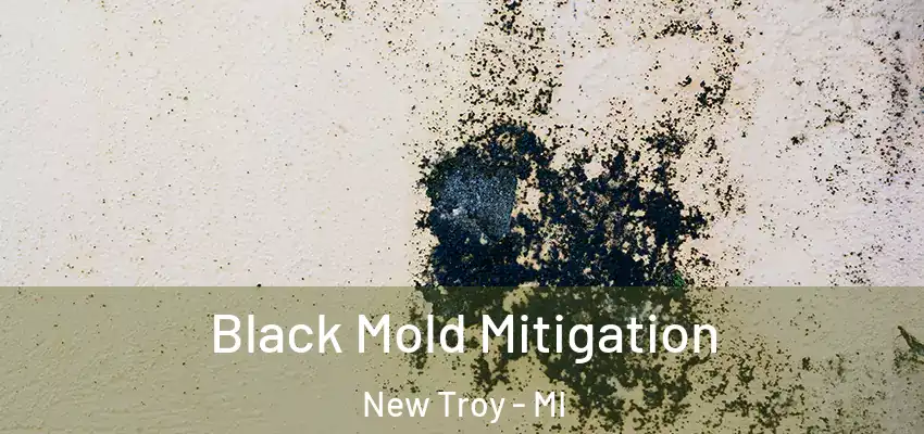 Black Mold Mitigation New Troy - MI