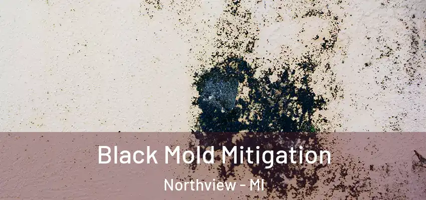  Black Mold Mitigation Northview - MI