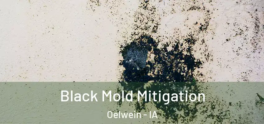  Black Mold Mitigation Oelwein - IA
