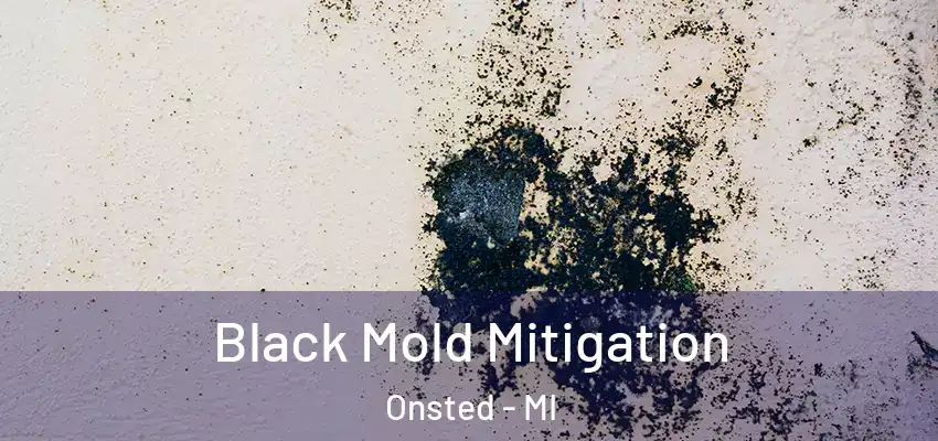 Black Mold Mitigation Onsted - MI