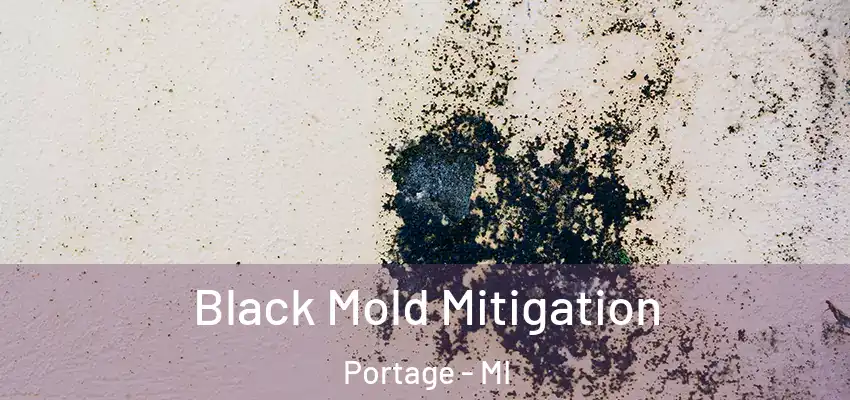 Black Mold Mitigation Portage - MI
