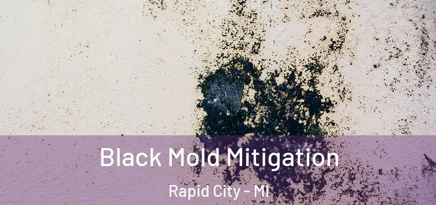  Black Mold Mitigation Rapid City - MI