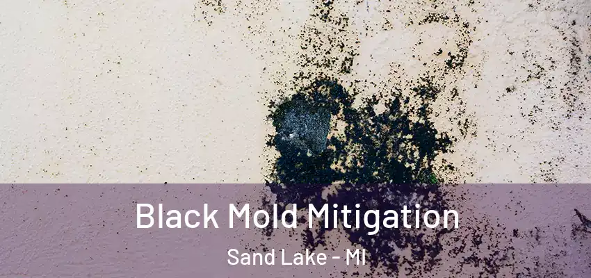 Black Mold Mitigation Sand Lake - MI
