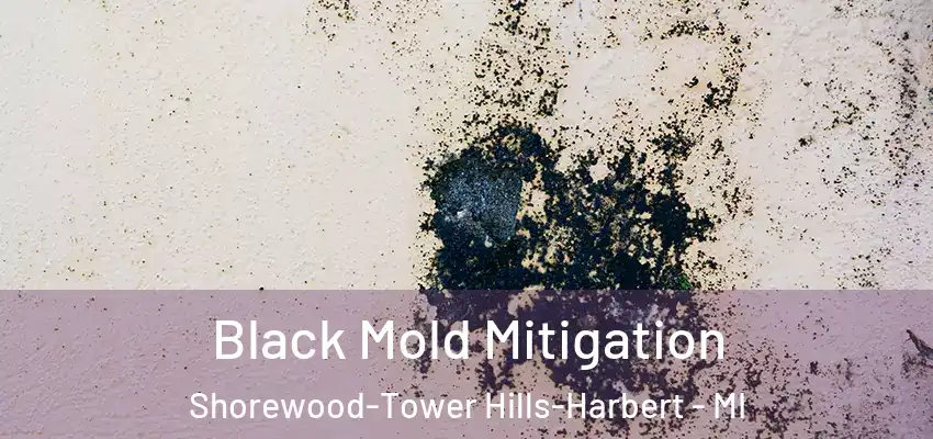 Black Mold Mitigation Shorewood-Tower Hills-Harbert - MI