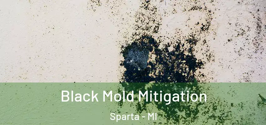  Black Mold Mitigation Sparta - MI