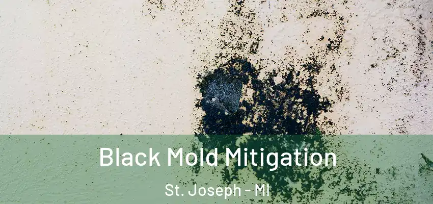Black Mold Mitigation St. Joseph - MI