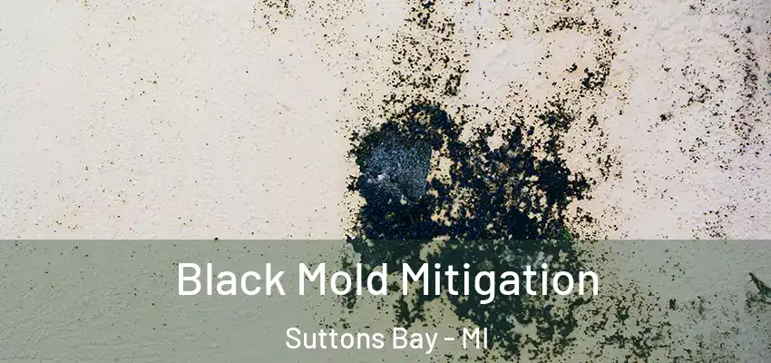 Black Mold Mitigation Suttons Bay - MI