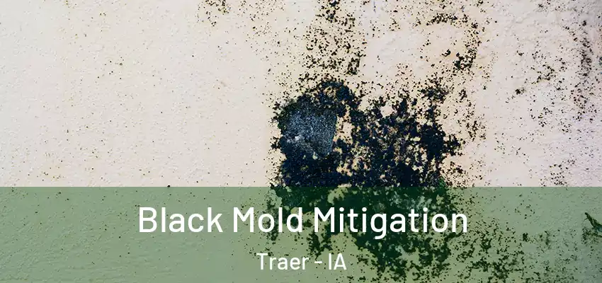  Black Mold Mitigation Traer - IA