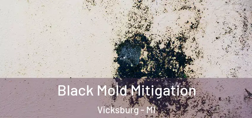 Black Mold Mitigation Vicksburg - MI