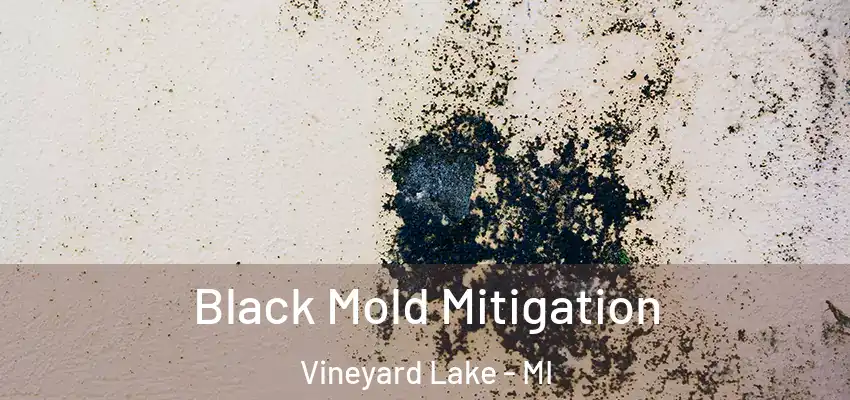  Black Mold Mitigation Vineyard Lake - MI