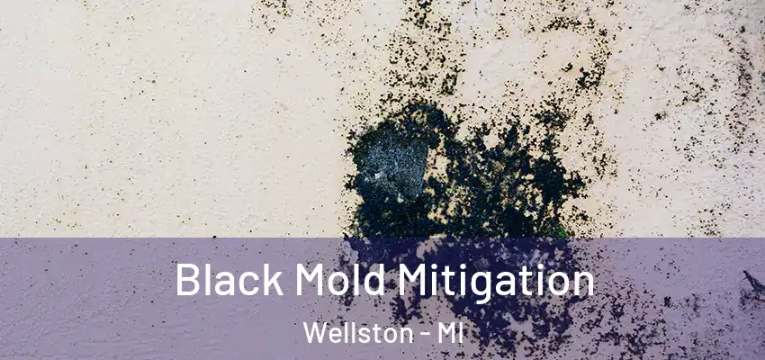 Black Mold Mitigation Wellston - MI
