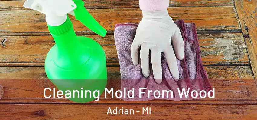  Cleaning Mold From Wood Adrian - MI