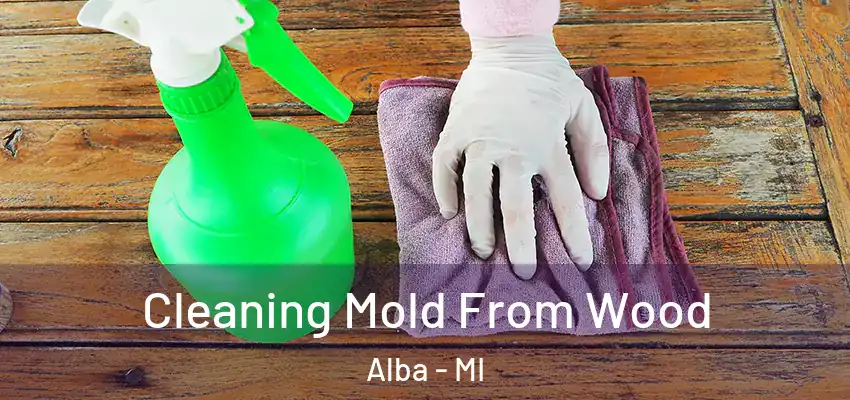  Cleaning Mold From Wood Alba - MI