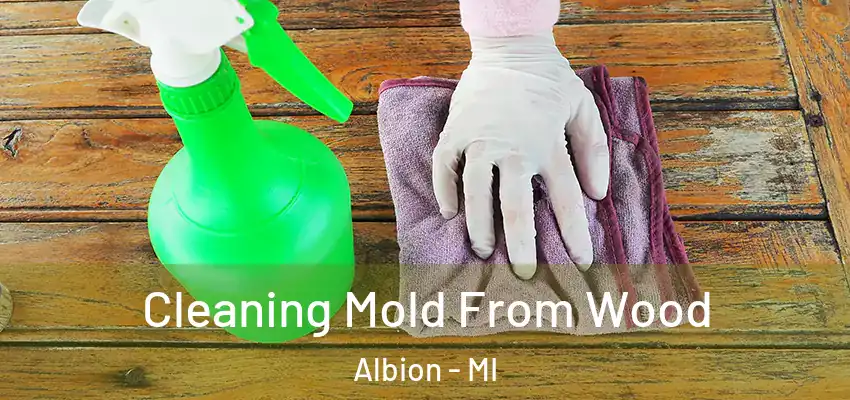  Cleaning Mold From Wood Albion - MI