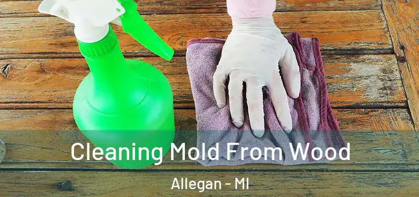  Cleaning Mold From Wood Allegan - MI