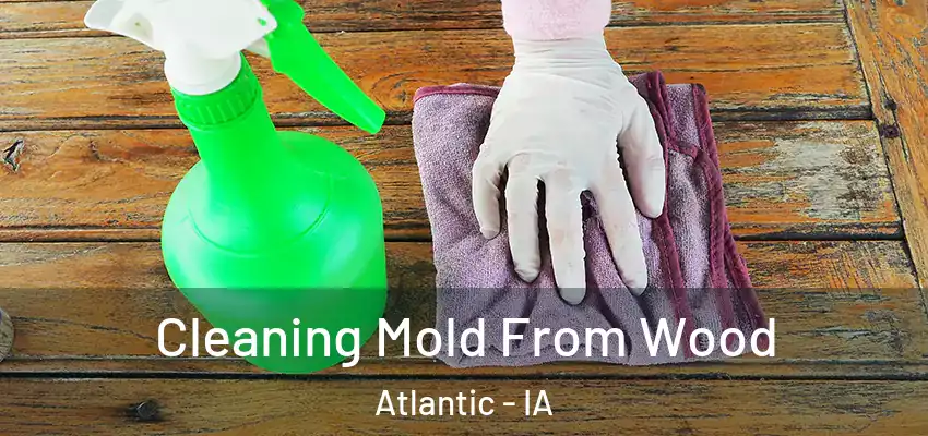  Cleaning Mold From Wood Atlantic - IA