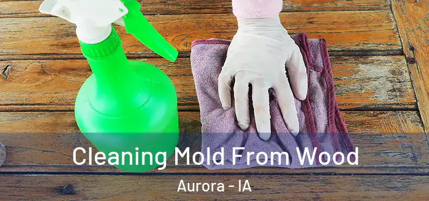  Cleaning Mold From Wood Aurora - IA