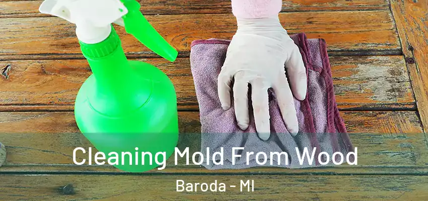 Cleaning Mold From Wood Baroda - MI