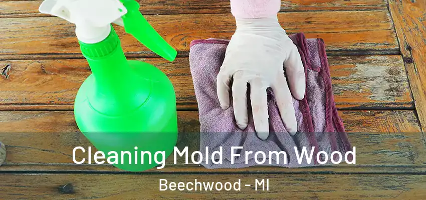  Cleaning Mold From Wood Beechwood - MI