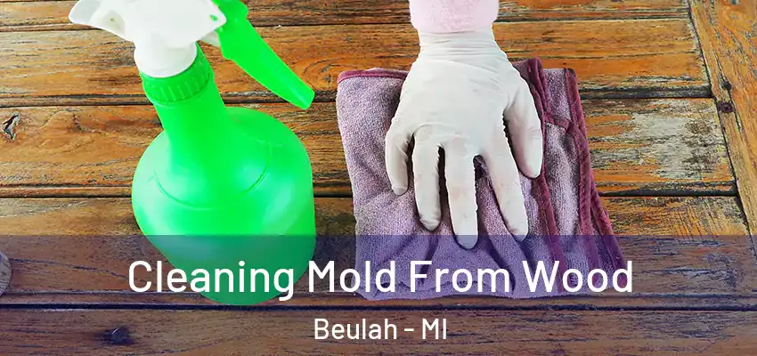  Cleaning Mold From Wood Beulah - MI