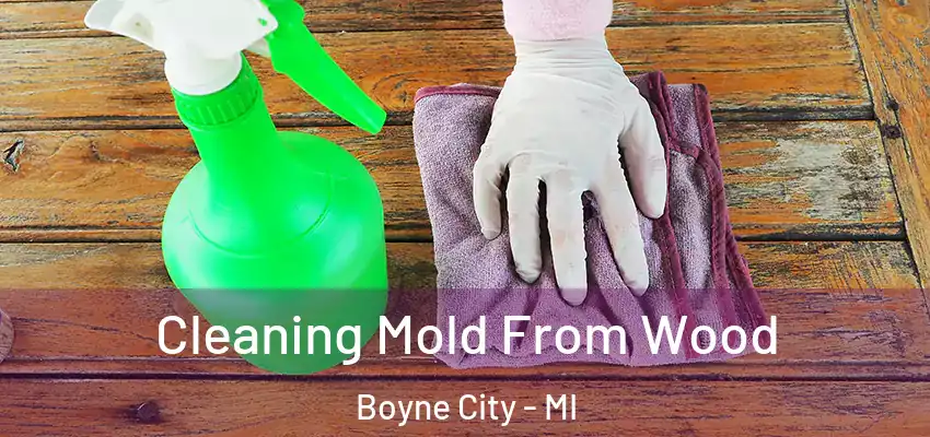  Cleaning Mold From Wood Boyne City - MI