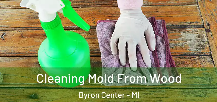  Cleaning Mold From Wood Byron Center - MI