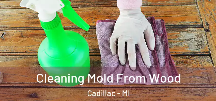  Cleaning Mold From Wood Cadillac - MI
